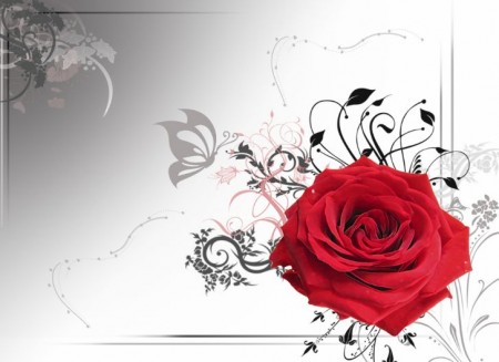 Happy-Rose-Day-7th-Feb-2012