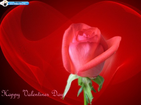 Valentines Day images 2012 Valentines Day images 2012