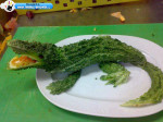 crocodile creative