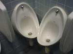 stupid toilet design