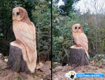 wooden owl art