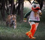 tiger funny image