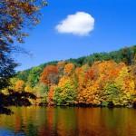 nature2.jpg