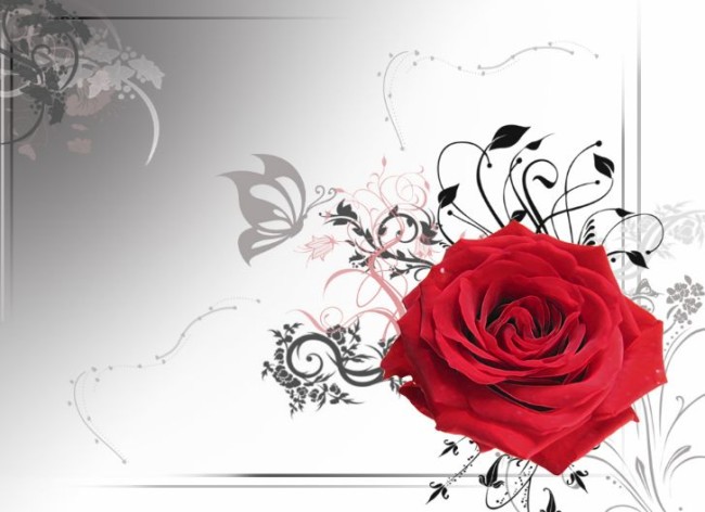 Happy-Rose-Day-7th-Feb-2012