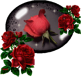 happy day rose picture