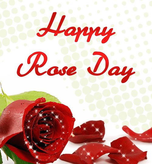 happy red rose day